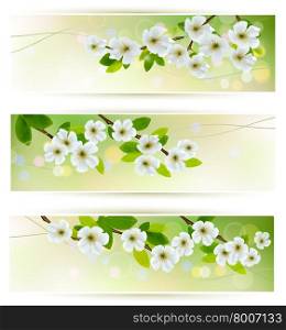 Three banners with blossoming tree branches. Vector illustration