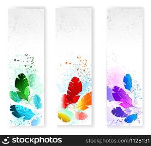 Three banners with colored feathers on gray grunge background