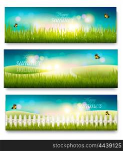 Three beautiful summer meadow landscape banners with butterflies. Vector.
