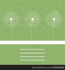 Three dandelions in the green sky. A vector illustration