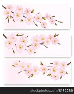 Three flower banners. Vector.
