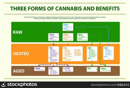 Three Forms of Cannabis and Benefits horizontal infographic illustration about cannabis as herbal alternative medicine and chemical therapy, healthcare and medical science vector.