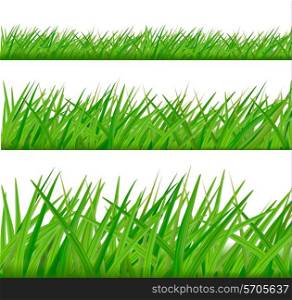 Three grass borders. Vector.