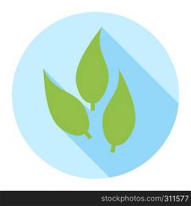 Three green leaves icon in flat vector design style