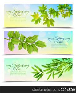 Three horizontal banners with green branches of deciduous trees in sun rays background flat vector illustration . Horizontal Banners Set With Green Branches
