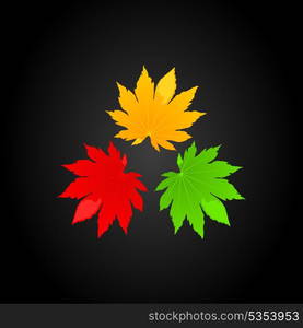 Three leafs. Three leafs of a tree on a black background. A vector illustration