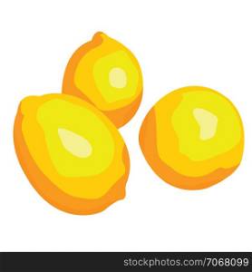 three Lemons citrus vector illustration isolated on a white background