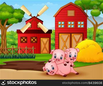 Three little pigs are playing at the farm 