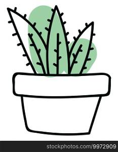 Three long cactuses in a pot, illustration, vector on white background.
