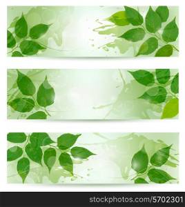 Three nature background with green spring leaves. Vector illustration.
