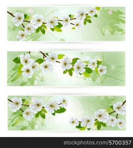 Three nature banners with blossoming tree branches. Vector illustration
