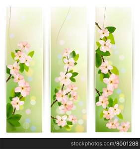Three nature banners with blossoming tree brunch with spring flowers . Vector illustration.