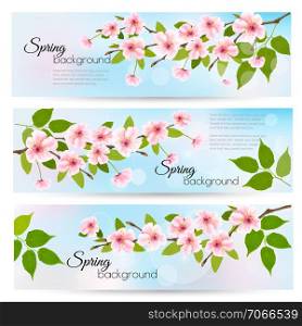Three nature spring banners with blossoming cherry. Vector.