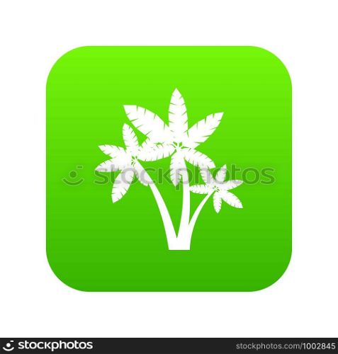 Three palm trees icon digital green for any design isolated on white vector illustration. Three palm trees icon digital green