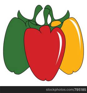Three pepper in green red and yellow color vector color drawing or illustration