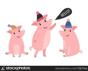 Three piggy in warm winter hats vector illustration on white background. Three piggy in winter hats