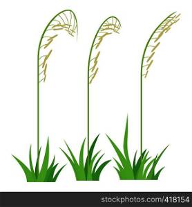Three plants icon. Cartoon illustration of three plants vector icon for web. Three plants icon, cartoon style