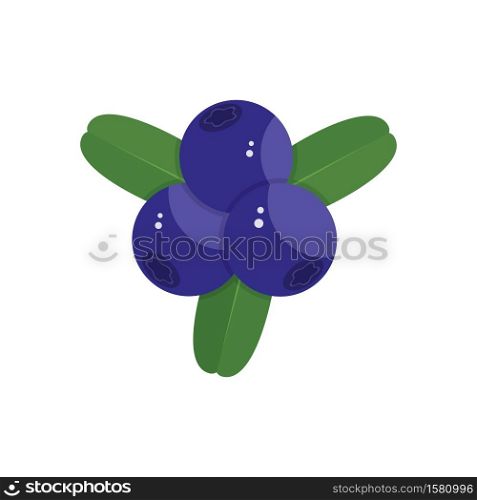 three ripe blueberries with green leaves isolated on a white background. blueberry on white background