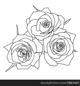 Three Roses in hand drawn style