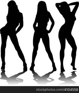 Three sexy women in black silhouette on a white background