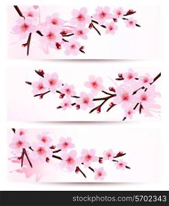 Three spring banners with blossoming sakura branches. Vector illustration.