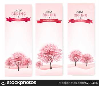 Three spring banners with blossoming sakura trees. Vector.