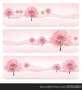 Three spring banners with blossoming sakura trees. Vector.