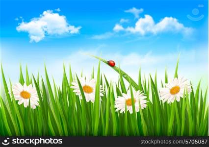 Three spring banners with blossoming tree brunch with spring flowers. Vector illustration.