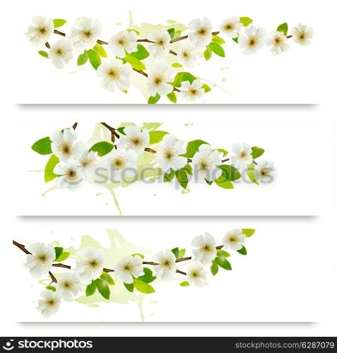 Three spring banners with blossoming tree brunch with spring flowers. Vector illustration