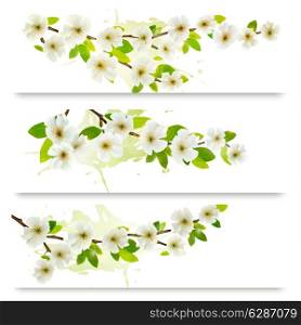 Three spring banners with blossoming tree brunch with spring flowers. Vector illustration