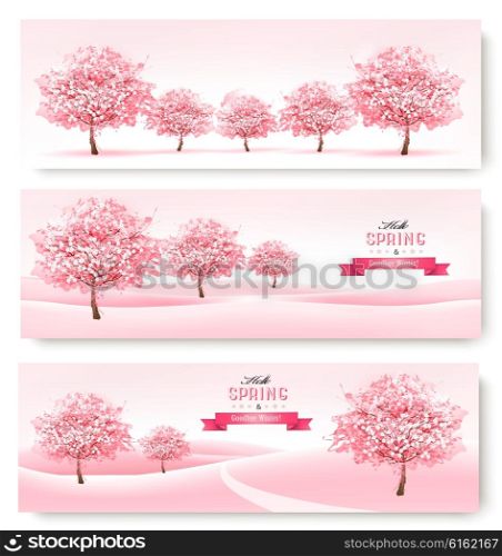 Three spring banners with pink cherry blossom trees. Vector.