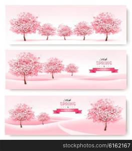 Three spring banners with pink cherry blossom trees. Vector.