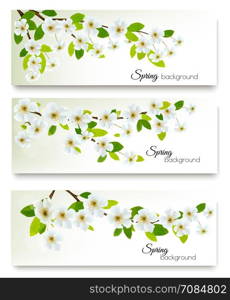 Three spring nature banners with blossom of cherry. Vector.