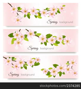 Three spring nature banners with blossoming sakura brunch with pink flowers. Vector illustration.