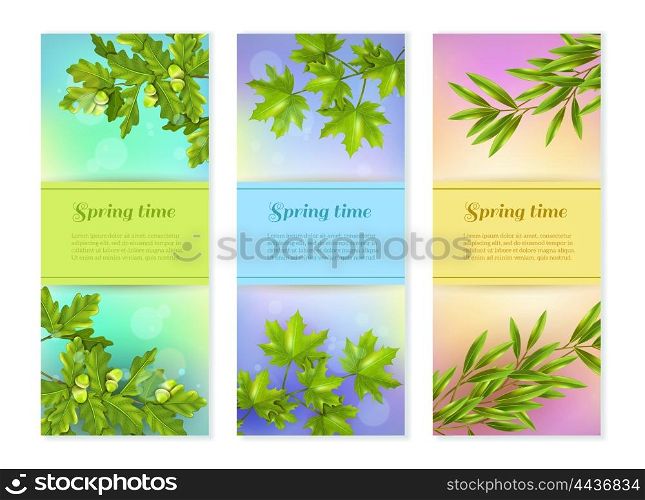 Three Vertical Branch Banners . Bright colorful spring collection of vertical banners with olive oak and maple branches at sun glare background flat vector illustration
