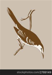 thrush silhouette on brown background, vector illustration