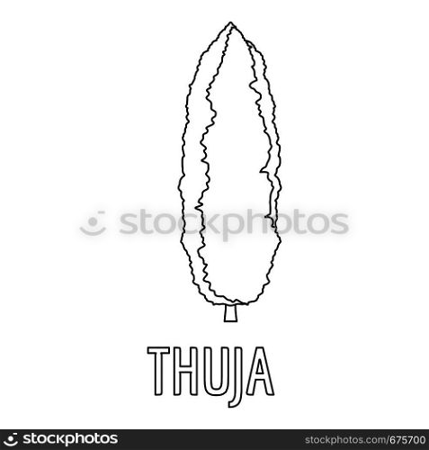 Thuja icon. Outline illustration of thuja vector icon for web. Thuja icon, outline style.