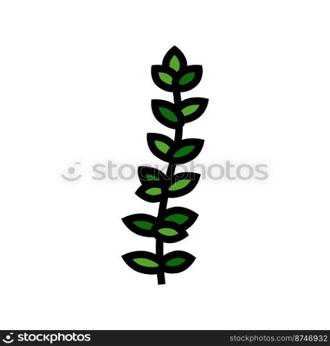 thyme salad food color icon vector. thyme salad food sign. isolated symbol illustration. thyme salad food color icon vector illustration