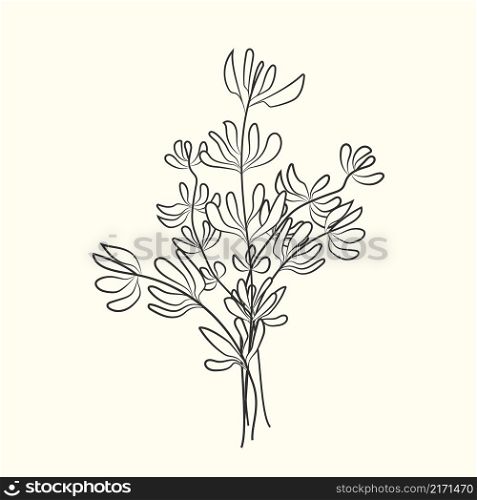 Thyme sketch isolated on background. Food ingredient. Vintage hand drawn engraved style. Vector illustration. Thyme sketch isolated on white background. Hand drawn food ingredient.