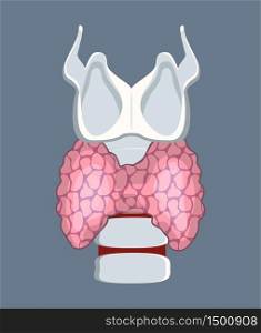 Thyroid gland isolated on grey background. Hypothyroidism design vector. Endocrinology concept and anatomy of human internal organ. Medicine icon for website, app, banner.. Thyroid gland isolated on grey background. Hypothyroidism design vector.