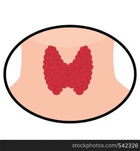 Thyroid vector illustration on a white background