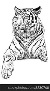 Tiger hand draw sketch black line on white background vector illustration.