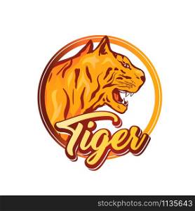 Tiger hand drawn logotype vector template. Tropical predator head in round frame with typography. Aggressive wildcat head illustration isolated on white background. Sports team insignia design idea. Tiger logotype vector design