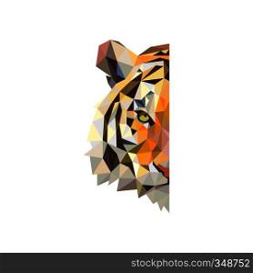 tiger head face vector art