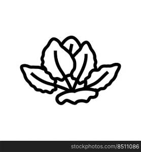 tiger lotus line icon vector. tiger lotus sign. isolated contour symbol black illustration. tiger lotus line icon vector illustration