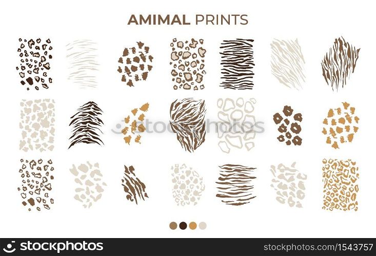 Tiger prints patterns, safari animals skin of leopard, jaguar and zebra, vector texture decoration elements. Safari animals print patterns, panther cheetah and giraffe fur hair leather isolated set. Tiger prints patterns, safari leopard, jaguar skin