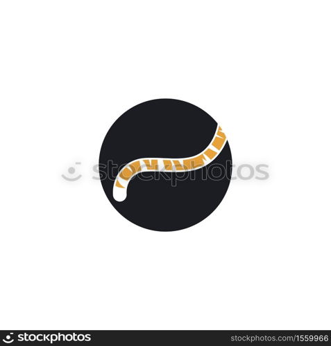 tiger tail icon vector illustration design template