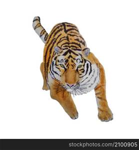 Tiger. Watercolor sketch of animal object isolated stock vector illustration