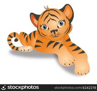 Tiger, Young Cub, Orange with Black Stripes, vector illustration