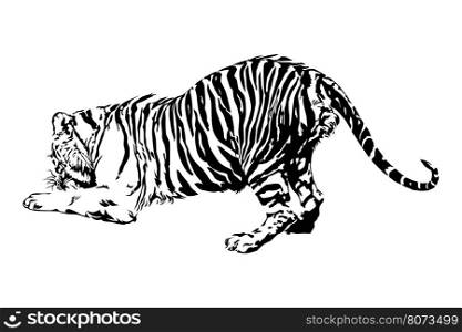 Tigers are enjoying eating, Tiger black and white color and silhouette, illustration design.